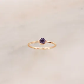 February Birthstone Ring ∙ Amethyst